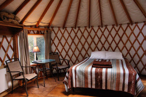 From Camp to Glamp: Washington’s Top Yurt Camping Spots
