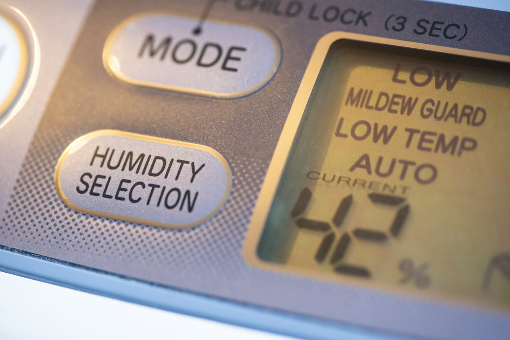 Beat The Humidity With One Of The Best Quietest Dehumidifiers